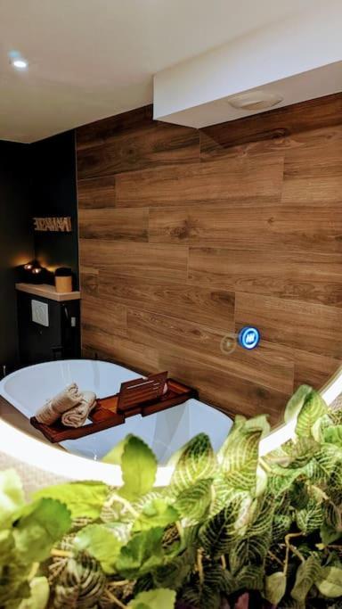 Le Petit Bali Lägenhet Sélestat Exteriör bild